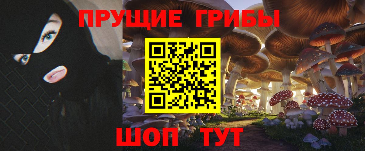 где купить   Вход с VPN  Большой Камень  Псилоцибиновые грибы прущие грибы  Псилоцибиновые грибы Psilocybe 